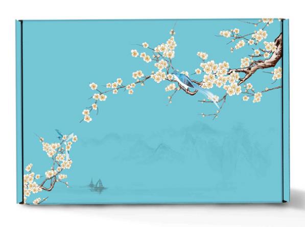 Vendita calda fantasia stampa personalizzata imballaggio ondulato abbigliamento spedizione scatola regalo di carta scatole personalizzate